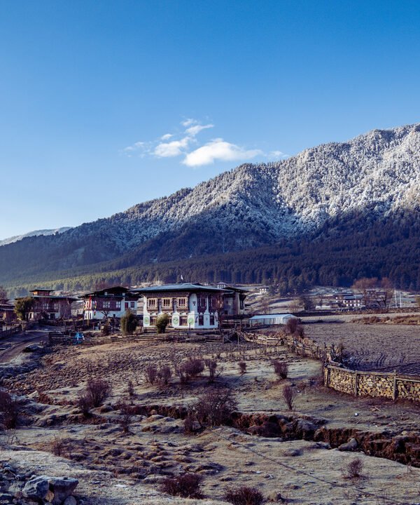 Phobjikha Valley & black-neck cranes