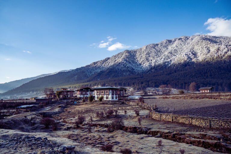 Phobjikha Valley & black-neck cranes